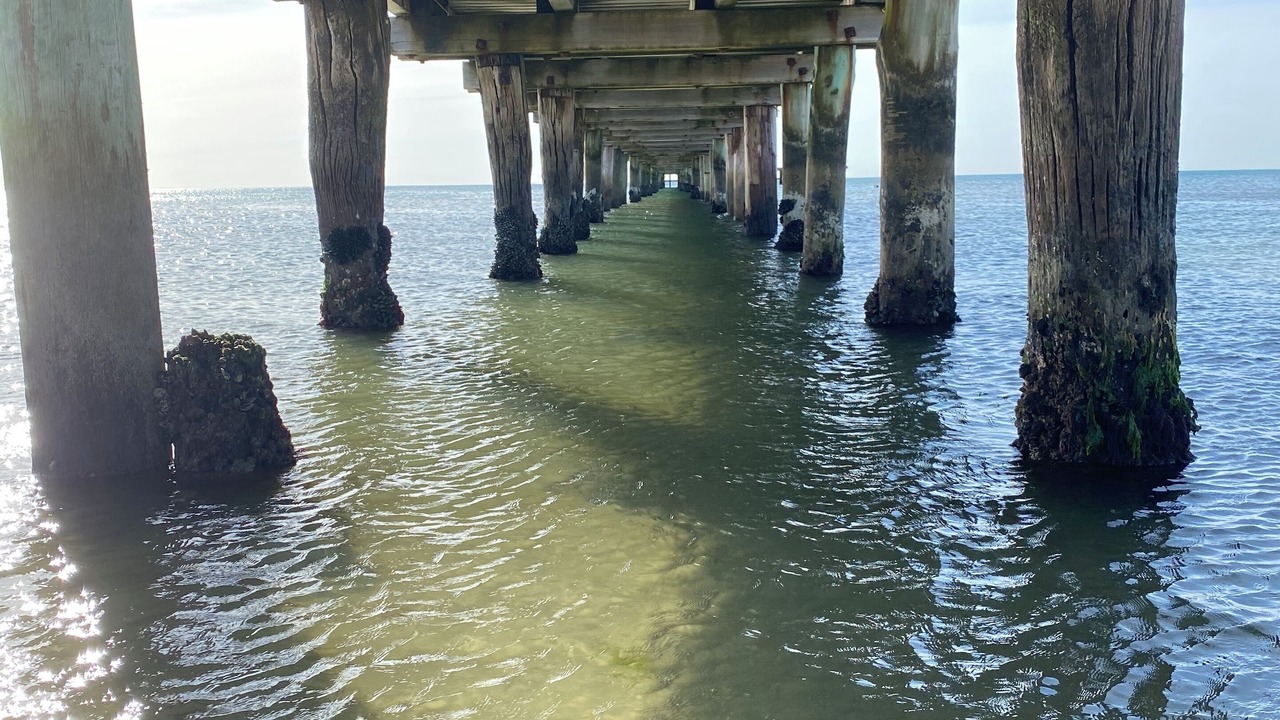 Photo of Others in Frankston South