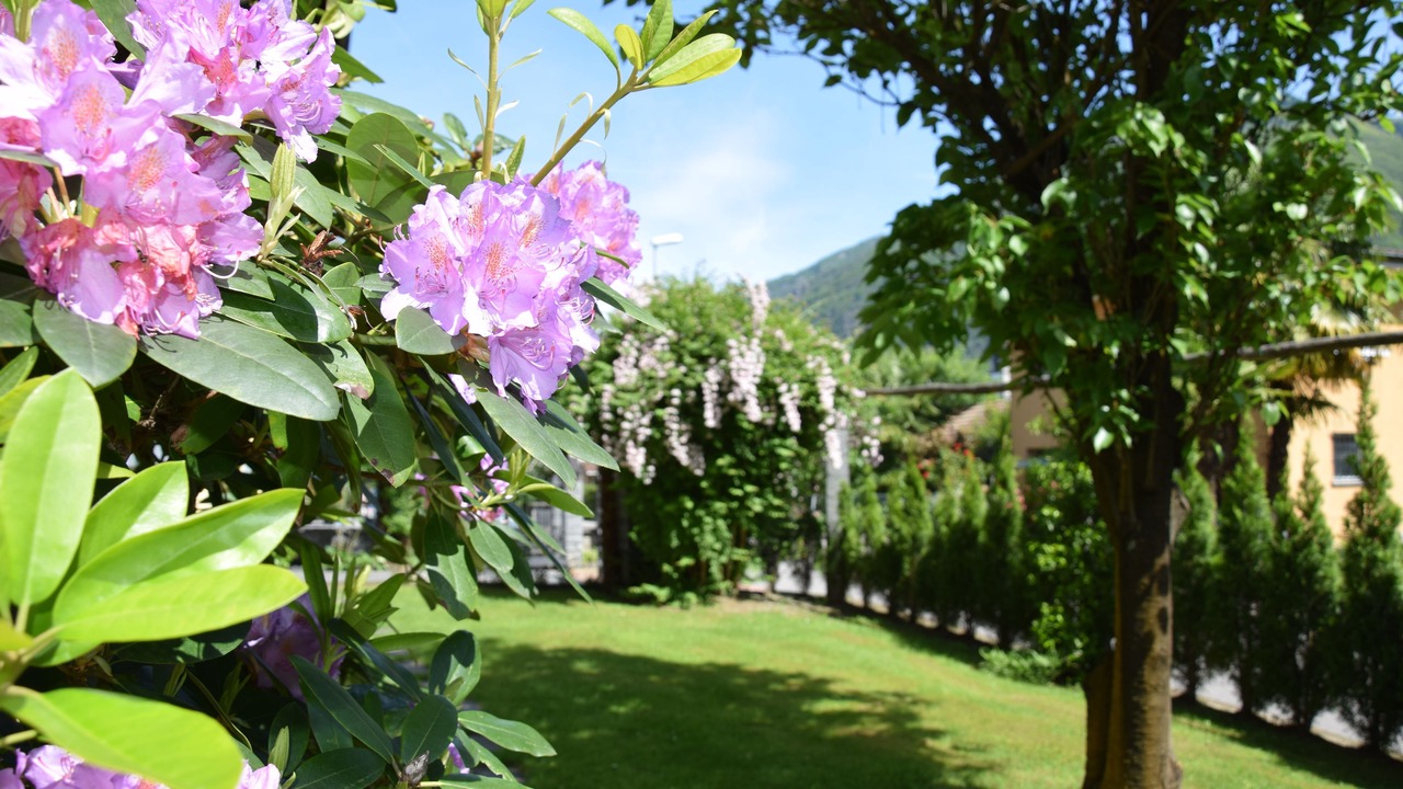Photo of Outdoor in Arcegno