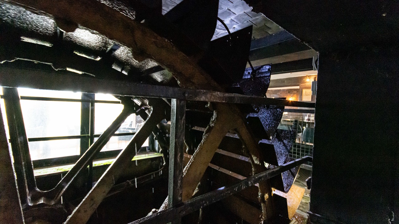 Photo of Others in Sudbury