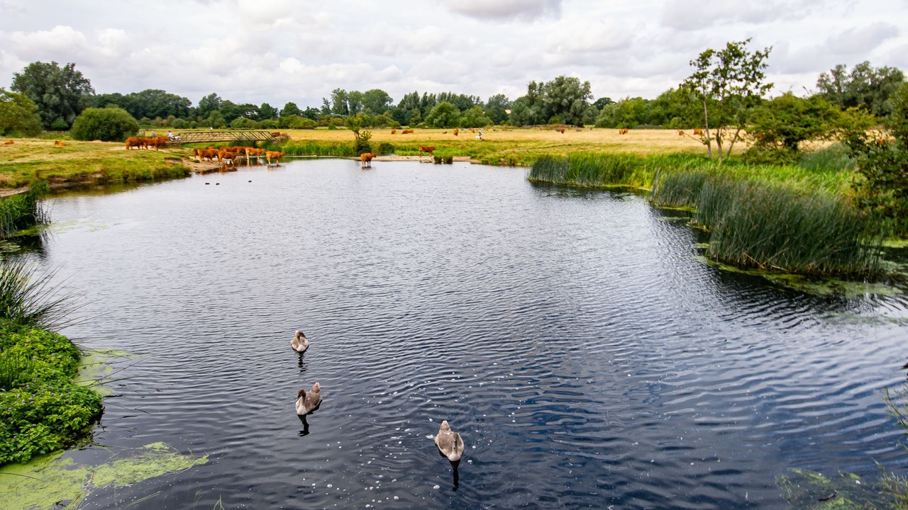 Photo of Outdoor in Sudbury