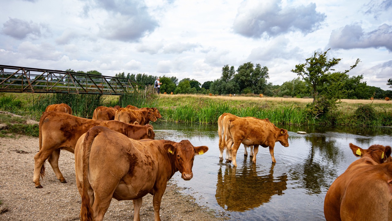 Photo of Others in Sudbury