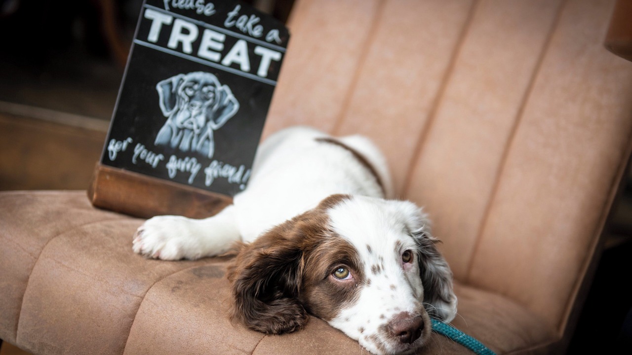 Photo of Others in Sudbury