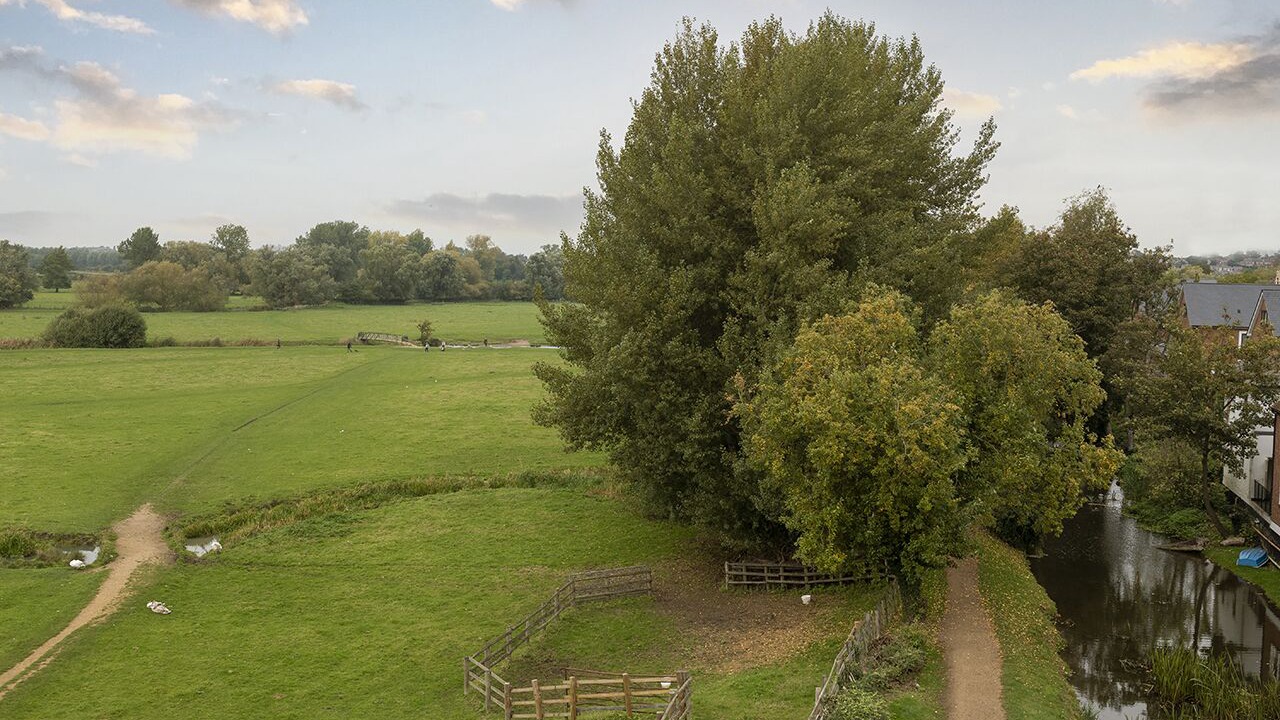 Photo of Others in Sudbury