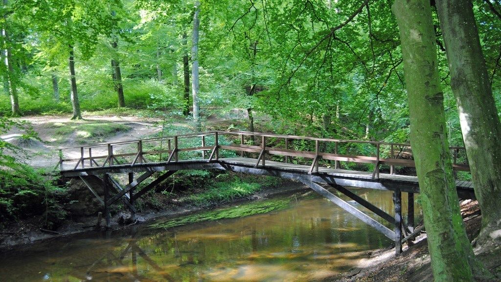 Photo of Others in Sæby