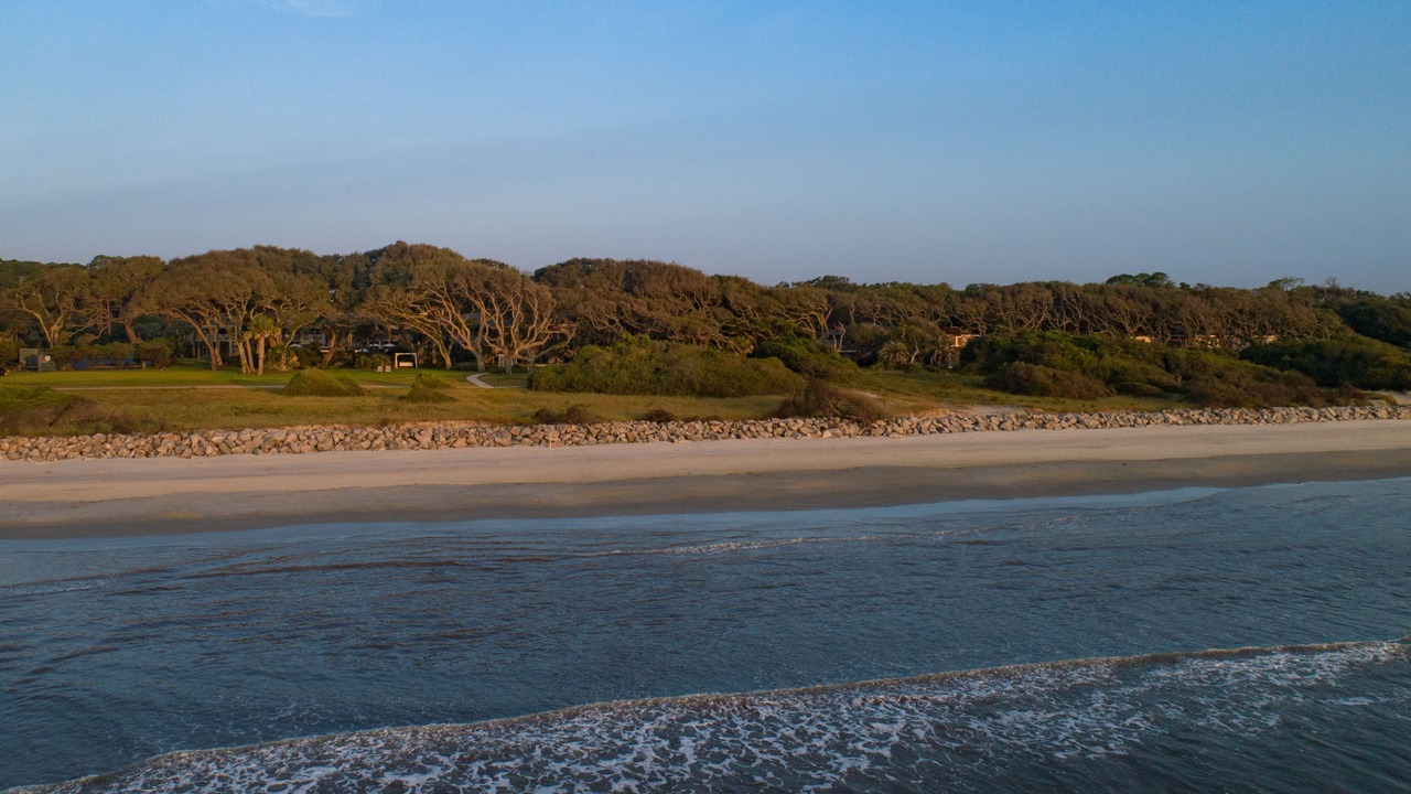 Photo of Others in Jekyll Island