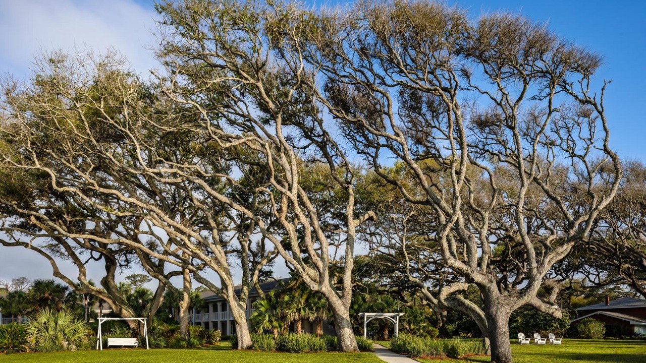 Photo of Outdoor in Jekyll Island