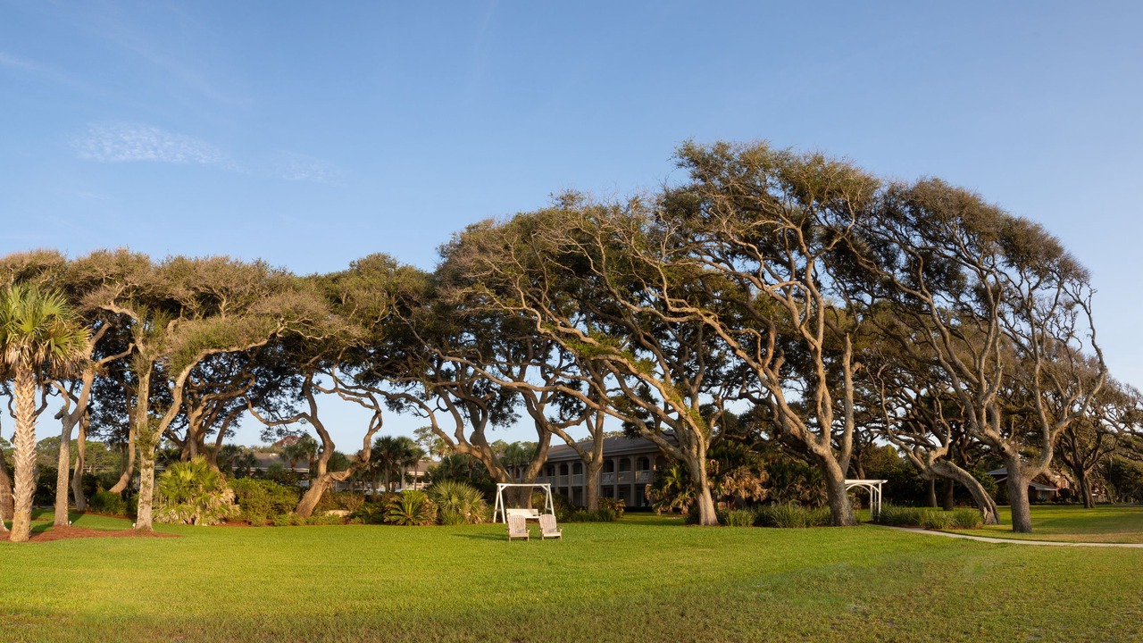 Photo of Outdoor in Jekyll Island