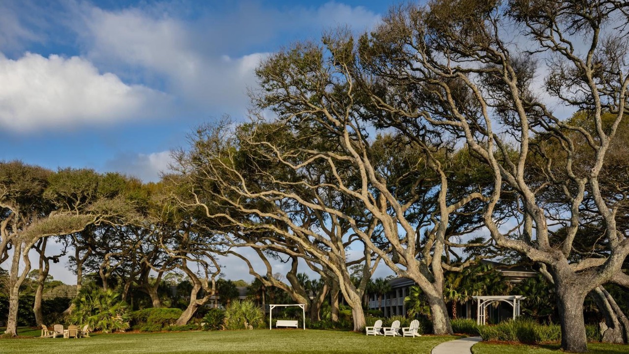 Photo of Others in Jekyll Island