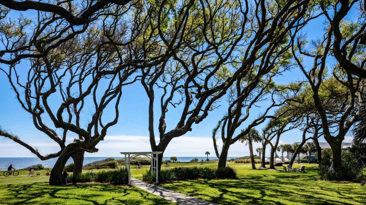 Photo of Outdoor in Jekyll Island