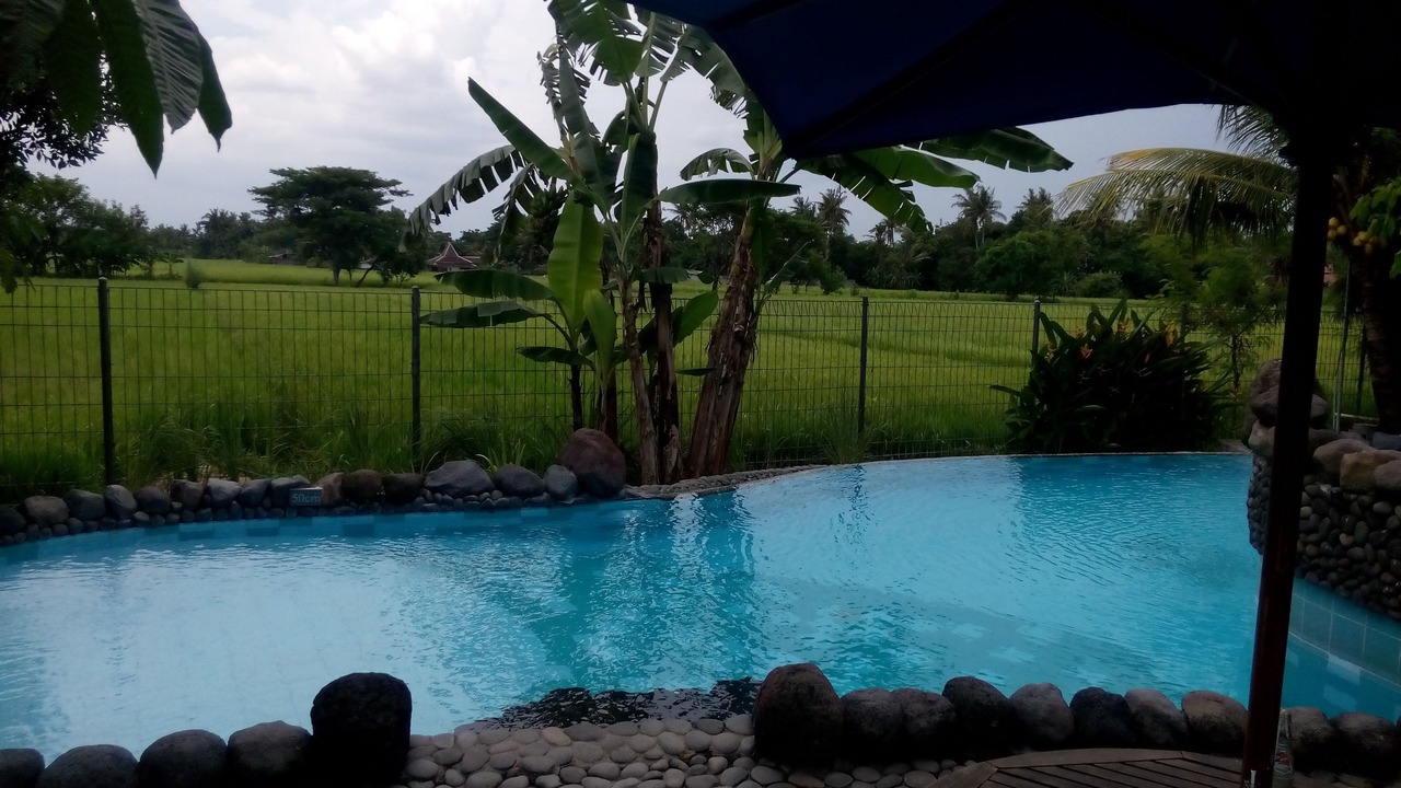 Photo of Outdoor in Timbulharjo