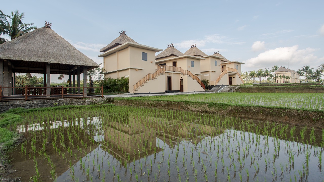 Photo of Outdoor in Pejeng Kawan