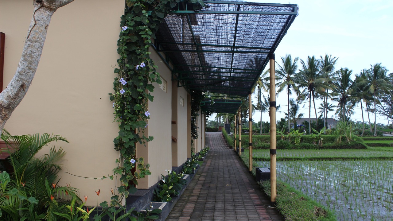 Photo of Outdoor in Pejeng Kawan