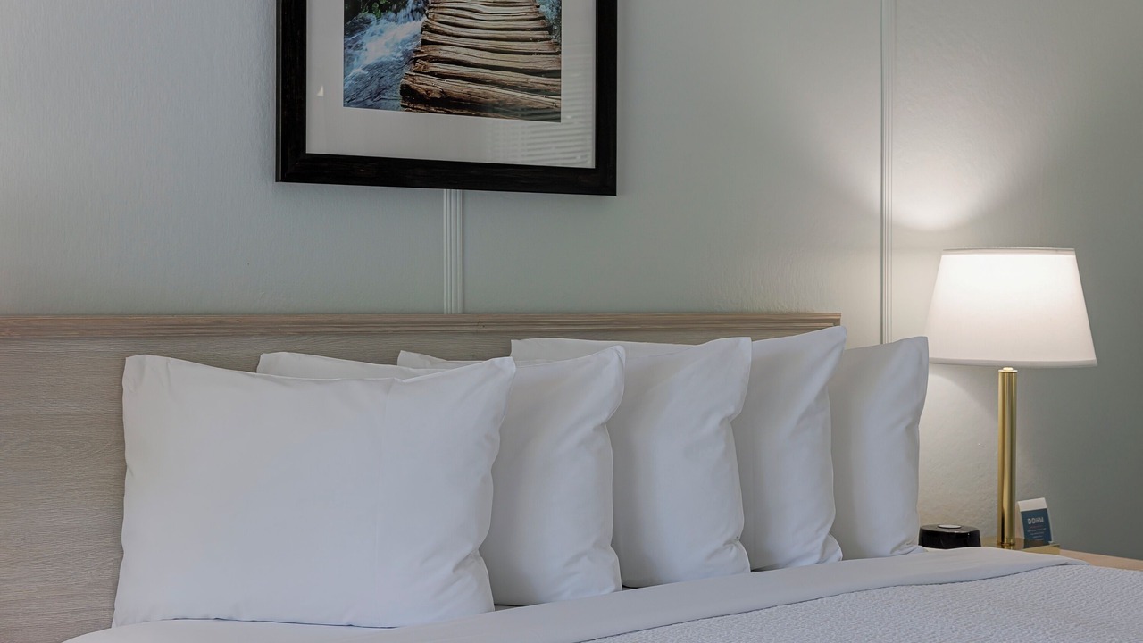 Photo of Others in Bar Harbor