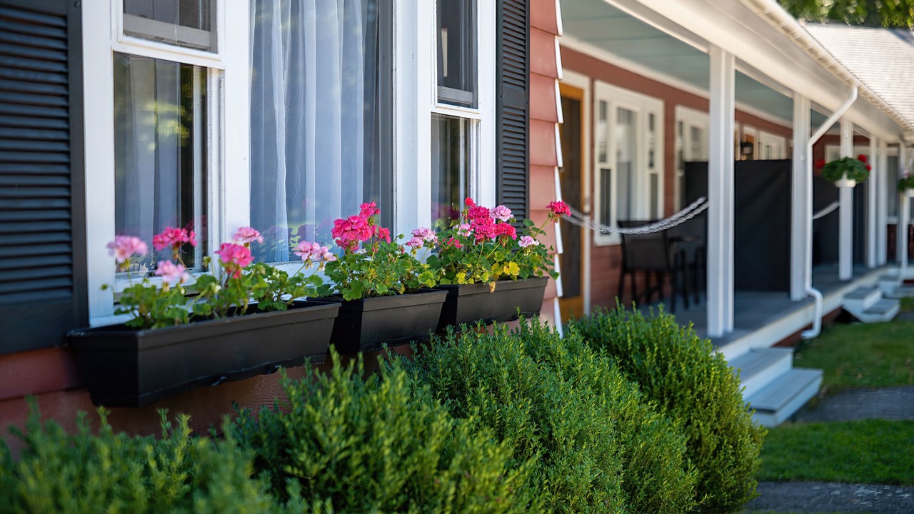 Photo of Outdoor in Bar Harbor