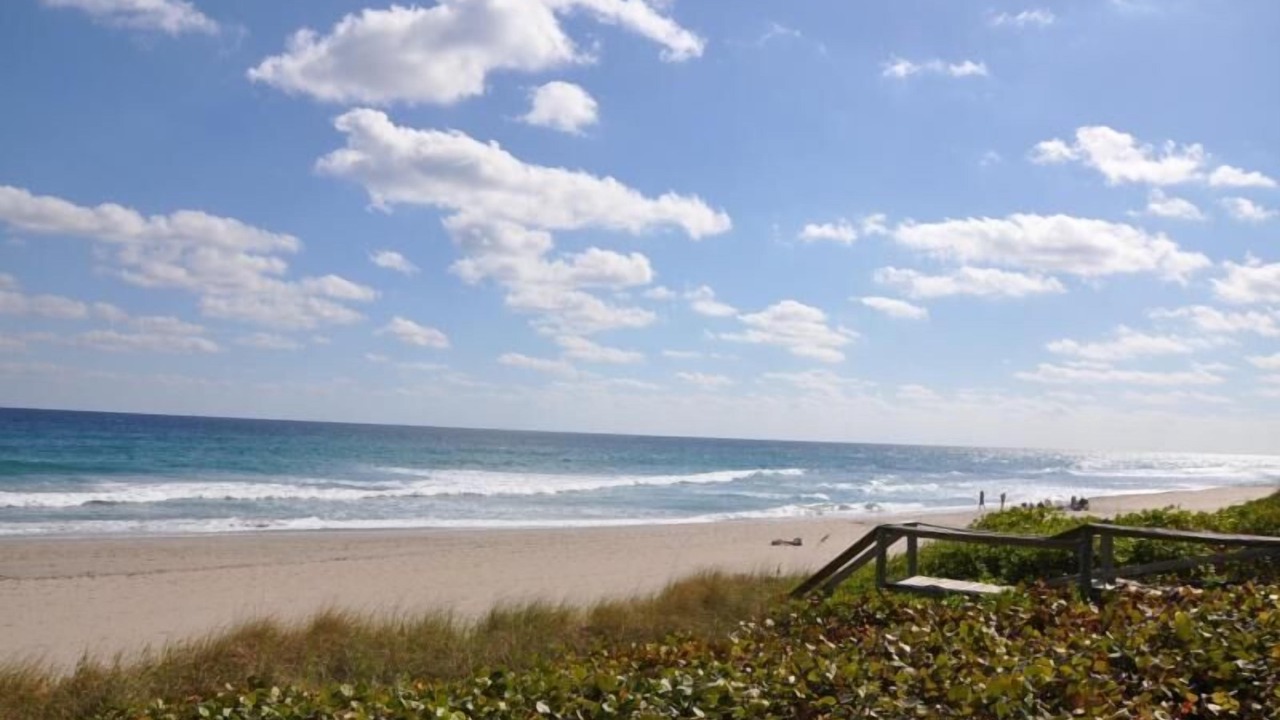 Photo of Others in Delray Beach