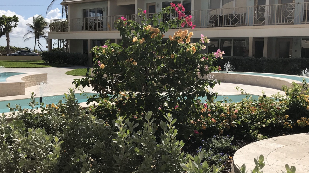 Photo of Outdoor in Delray Beach