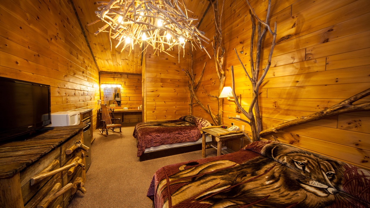 Photo of Livingroom in Jones Mills