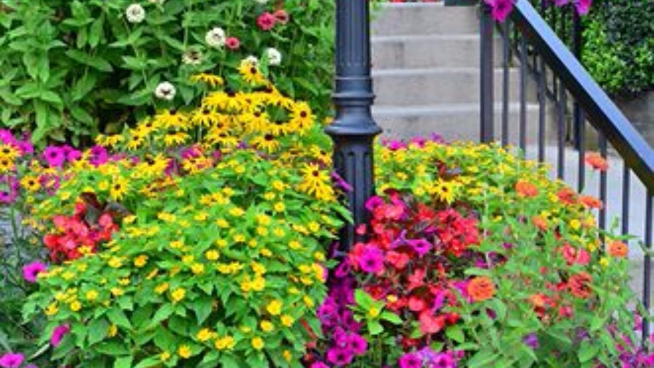 Photo of Outdoor in Blowing Rock