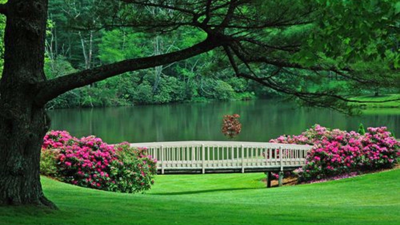 Photo of Outdoor in Blowing Rock