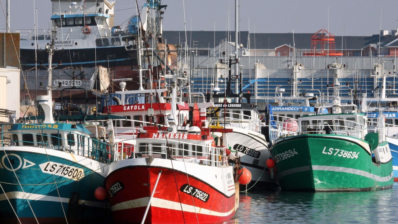Photo of Others in Olonne-sur-Mer