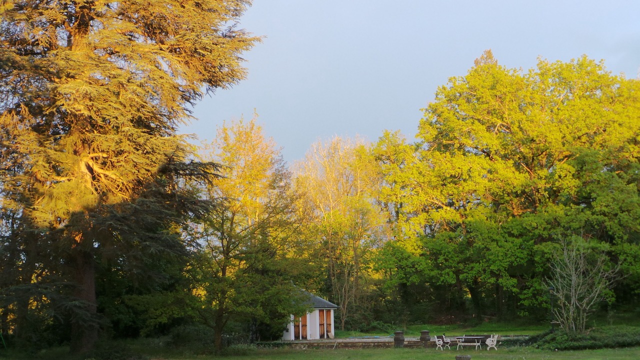 Photo of Outdoor in Noailly