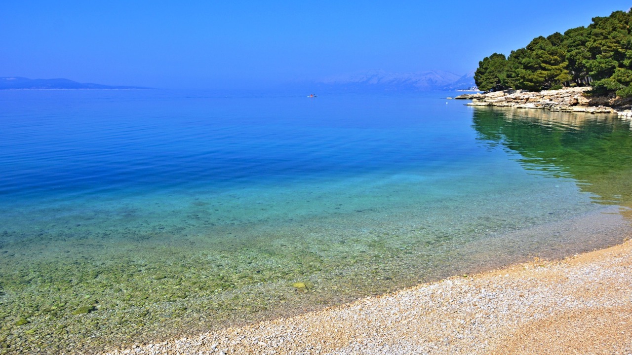 Photo of Others in Donja luka