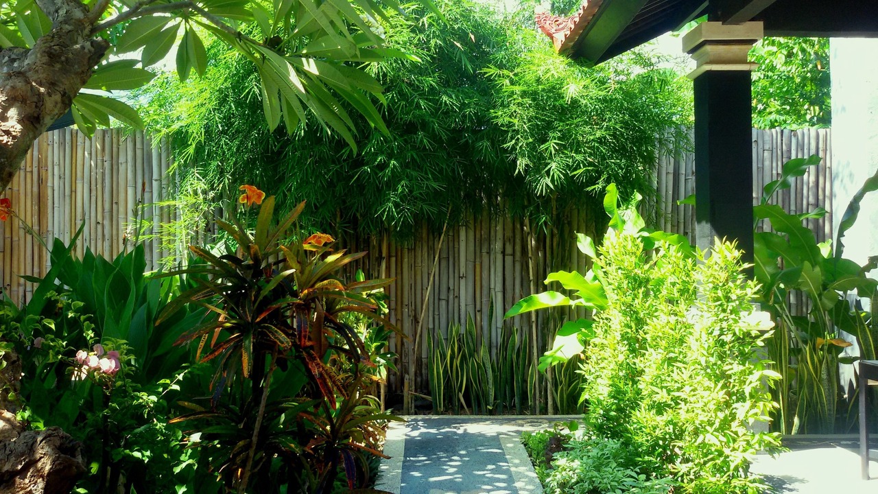 Photo of Others in Pemuteran