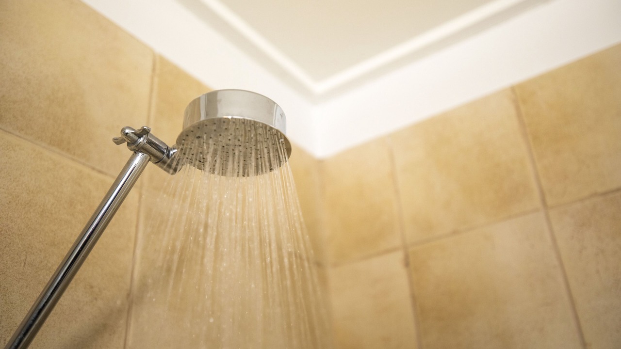 Photo of Others in Vermont South