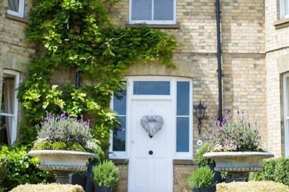 Photo of Outdoor in Tea Green