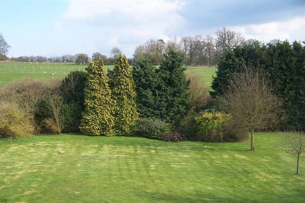 Photo of Outdoor in Tea Green