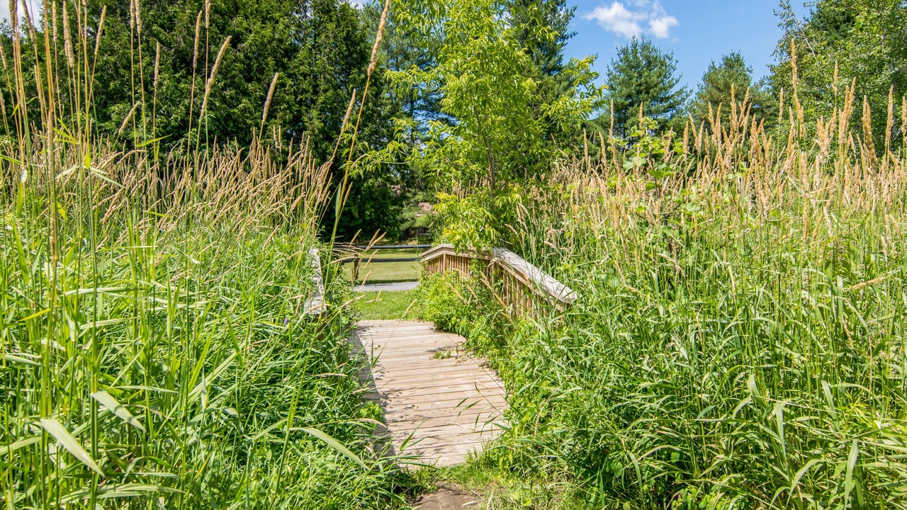 Photo of Outdoor in Stowe Area