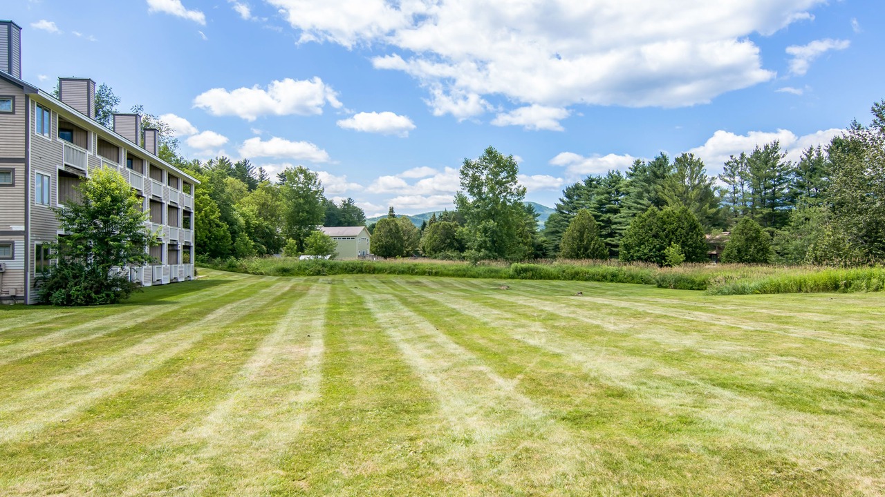 Photo of Others in Stowe Area