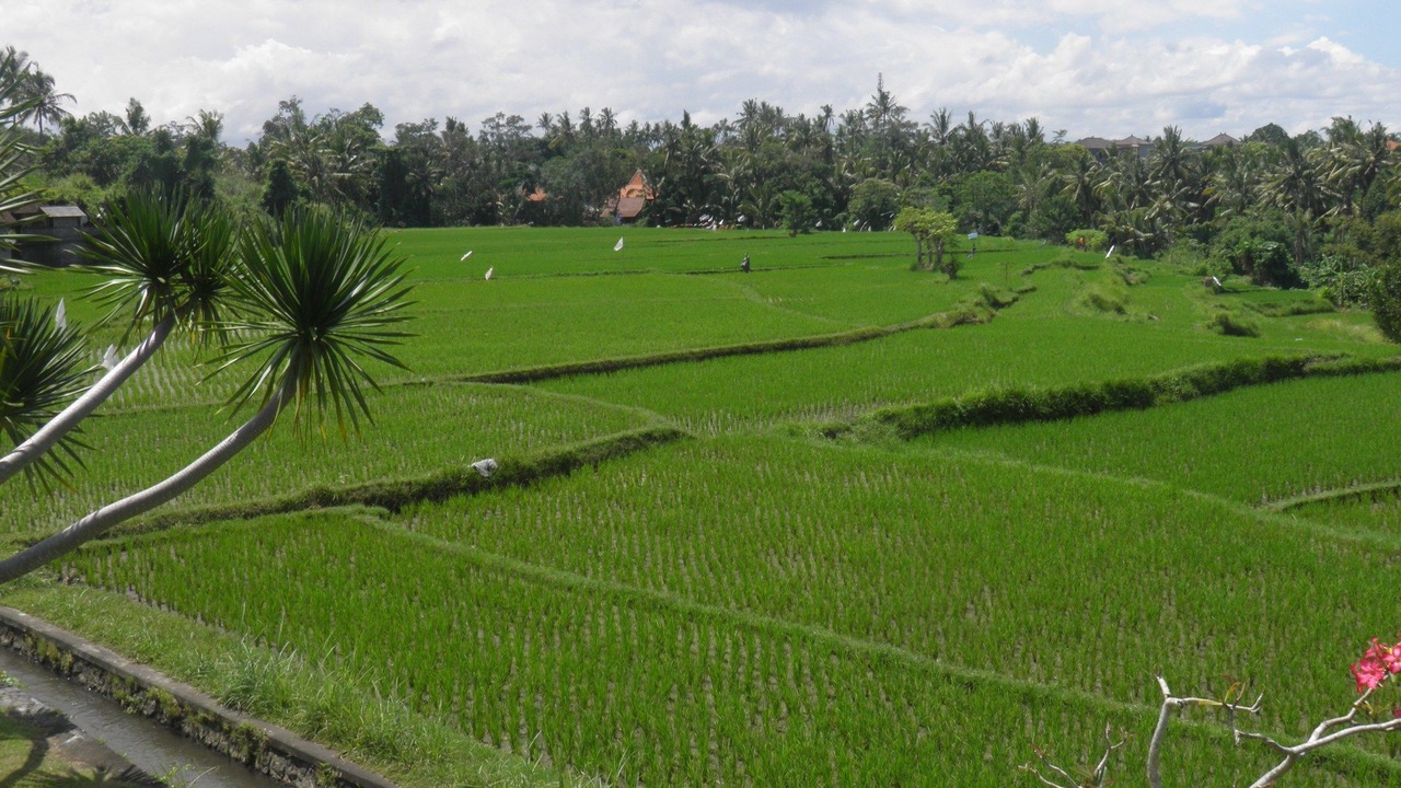 Photo of Outdoor in Lodtunduh