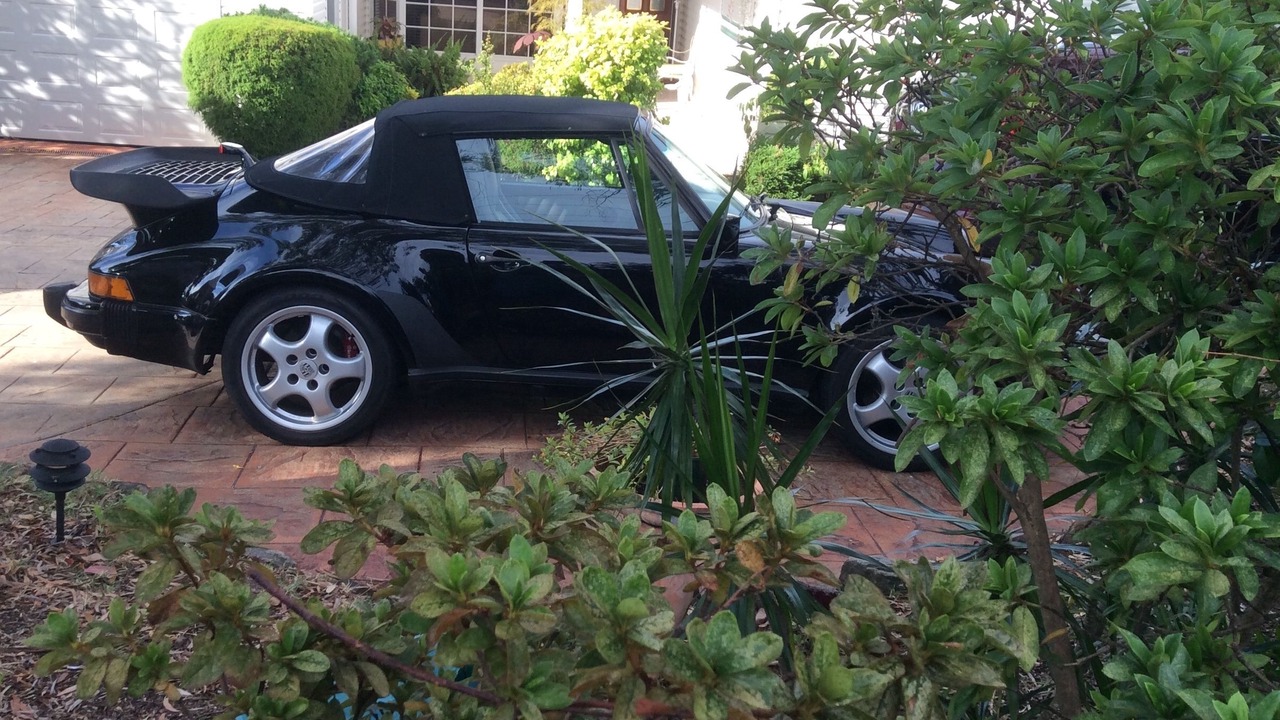 Photo of Others in North Ryde