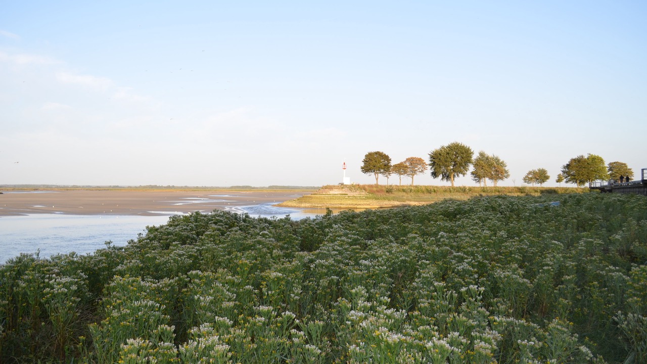Photo of Outdoor in Saint-Valery-sur-Somme