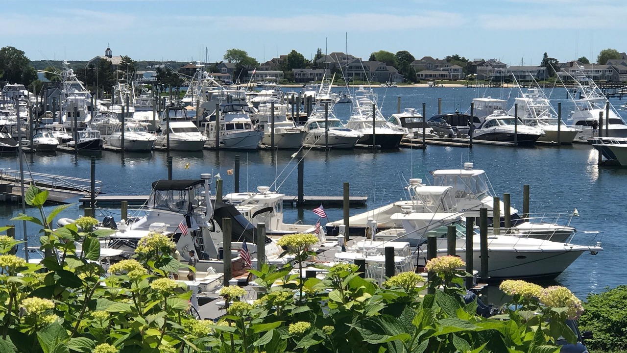 Photo of Others in Hyannis