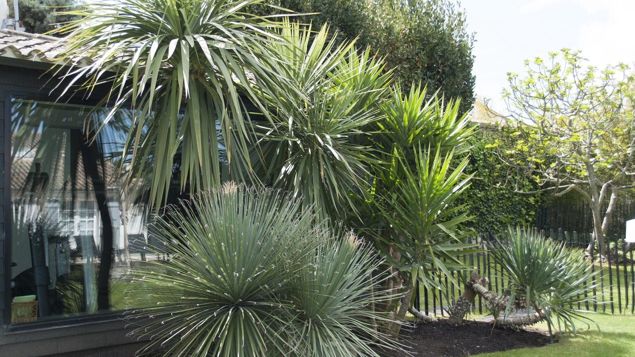 Photo of Outdoor in Saint-Martin-de-Re