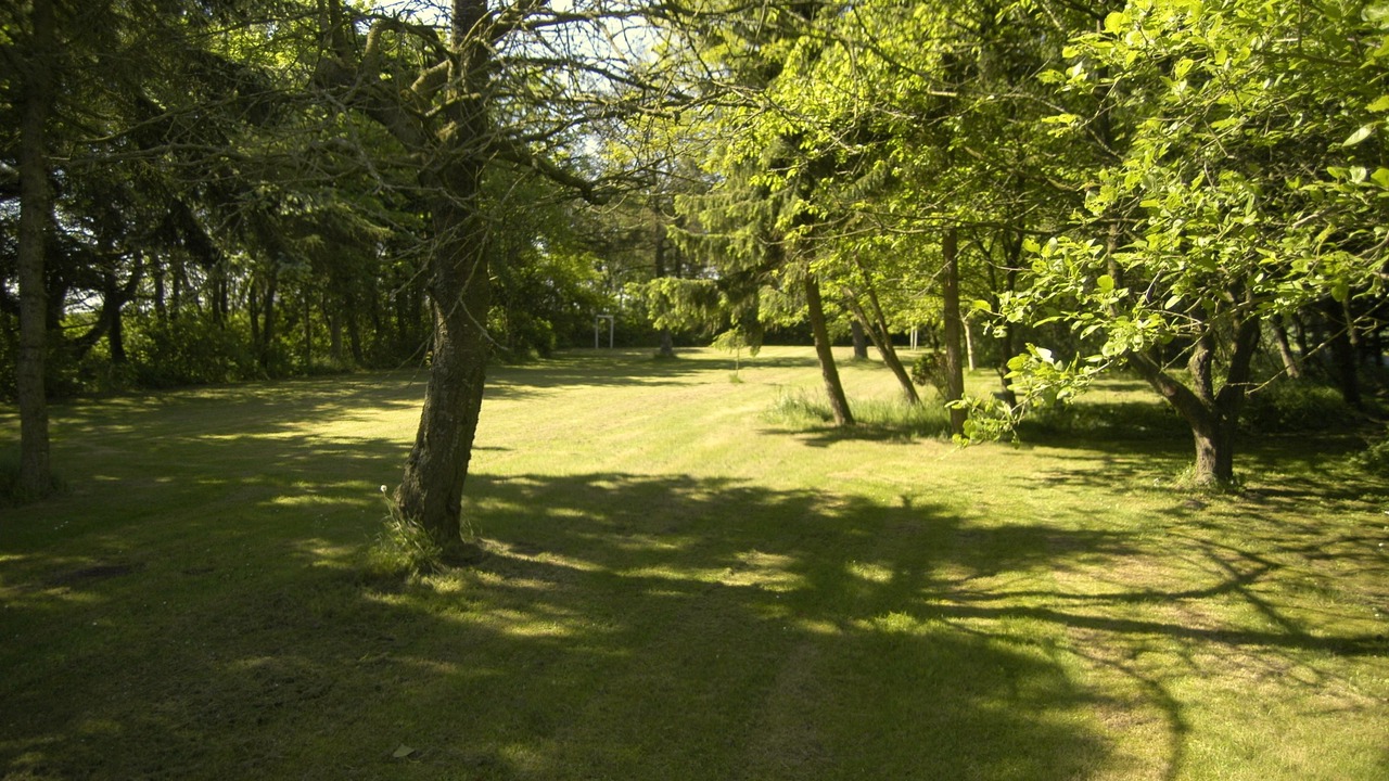 Photo of Outdoor in Norre Nebel