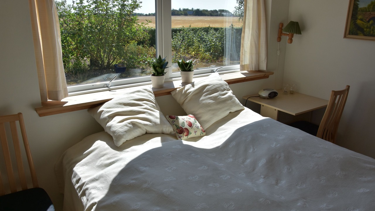 Photo of Others in Norre Nebel