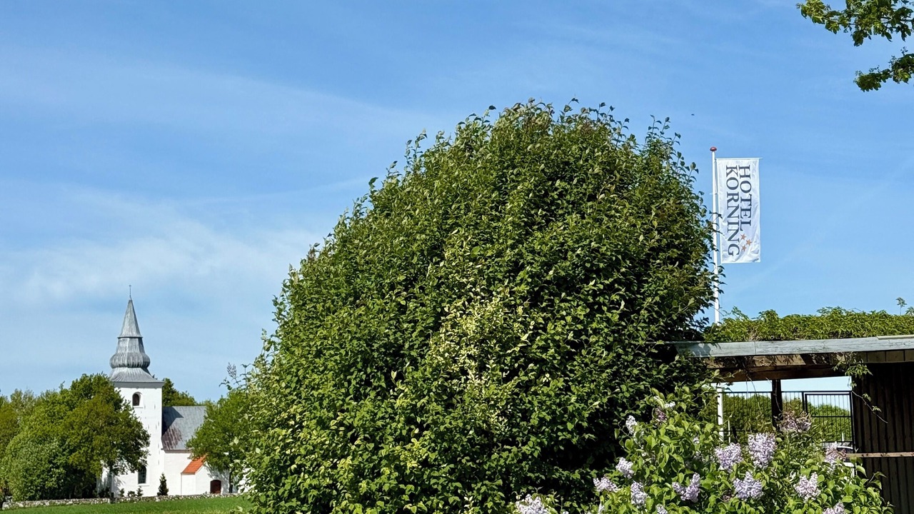 Photo of Outdoor in Korning