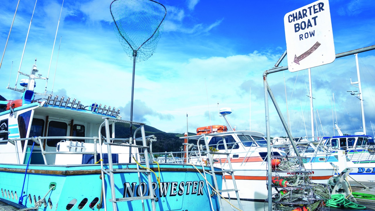 Photo of Outdoor in Garibaldi