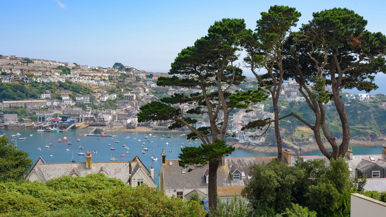 Photo of Others in Fowey