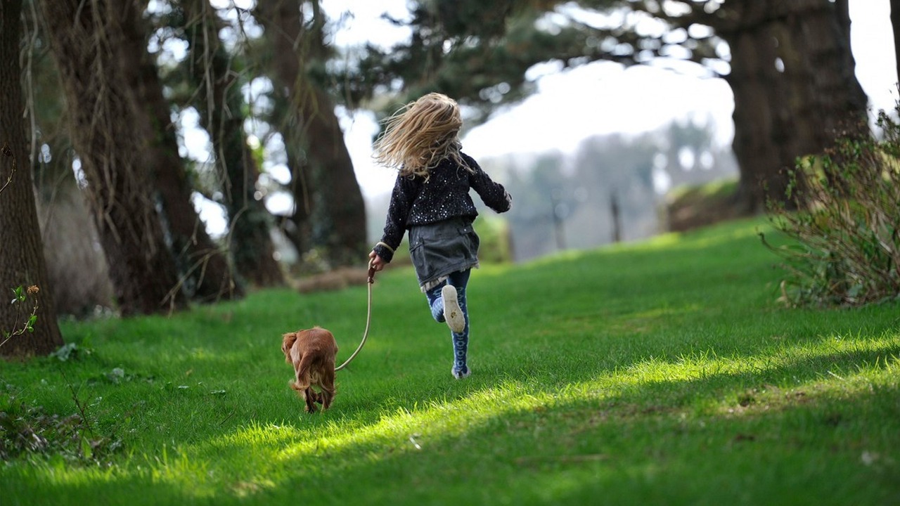 Photo of Outdoor in Fowey