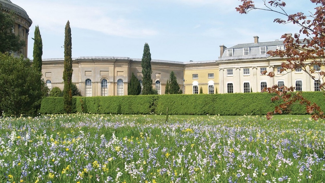 Photo of Others in Bury St Edmunds