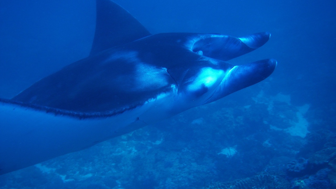 Photo of Others in Candi Dasa