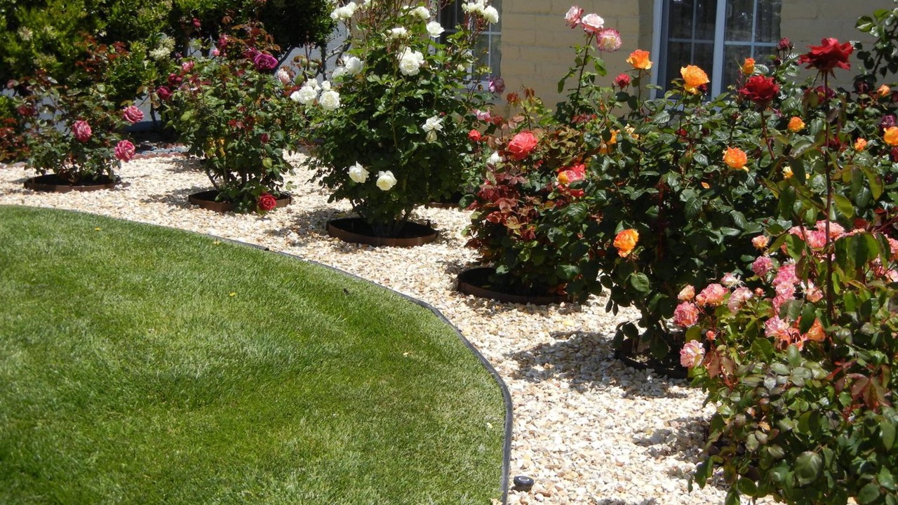Photo of Outdoor in Seaside