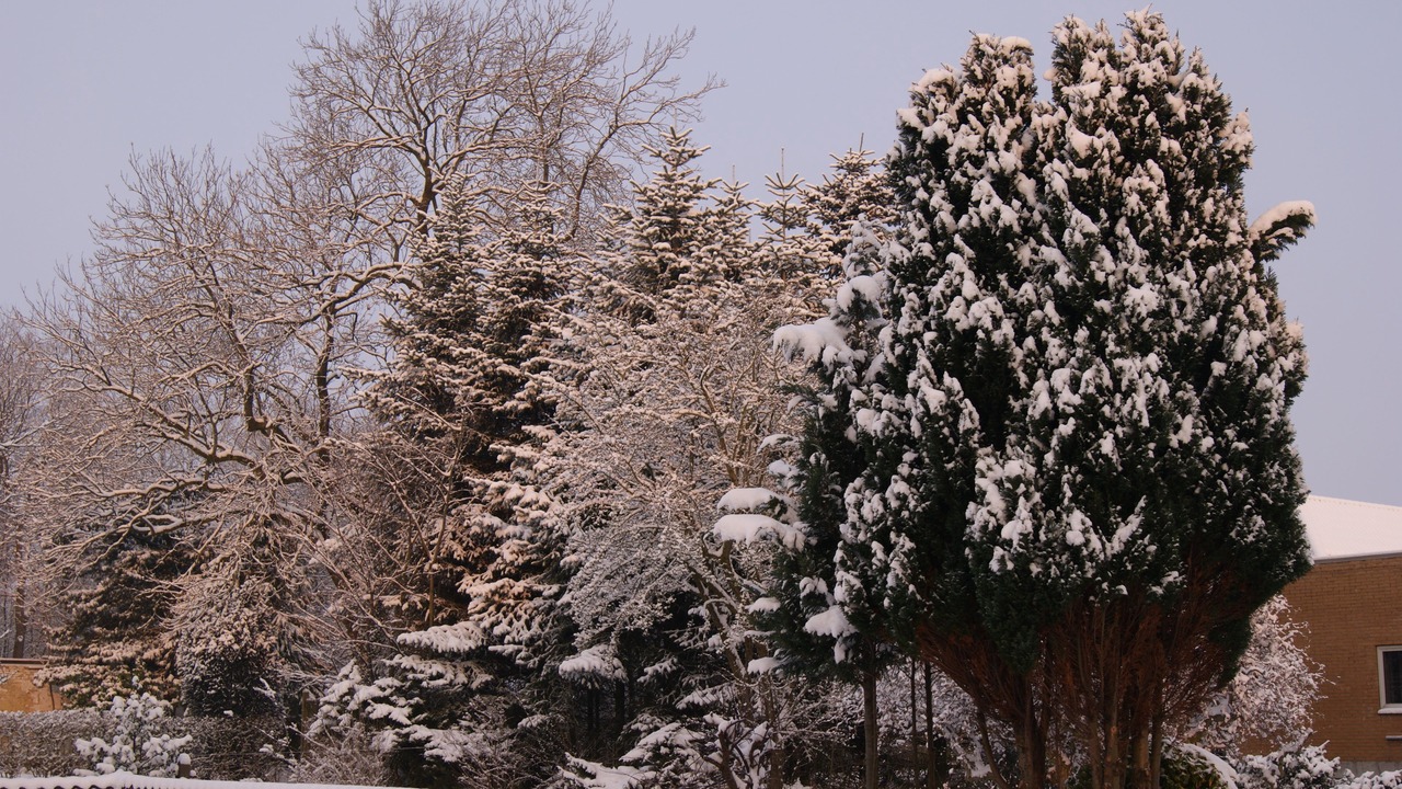 Photo of Outdoor in Rodekro