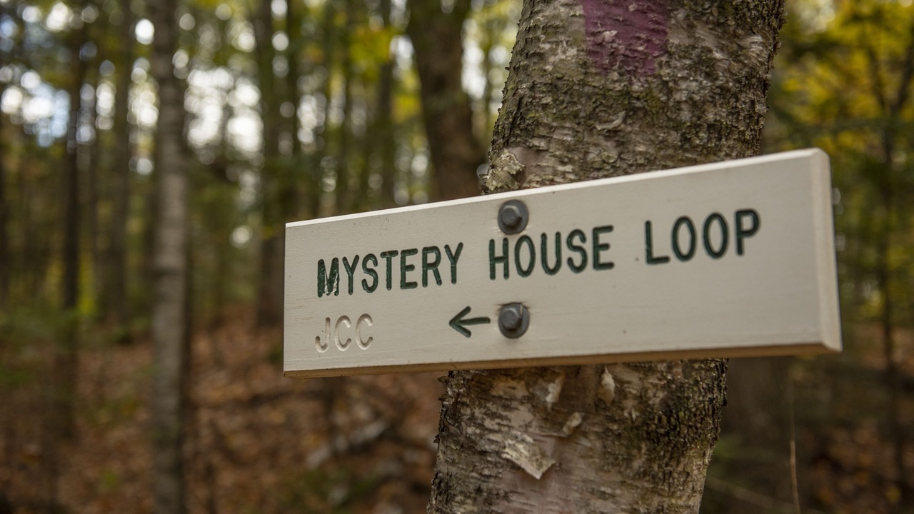 Photo of Outdoor in Jackson