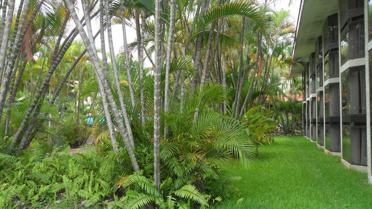 Photo of Outdoor in Poza Rica