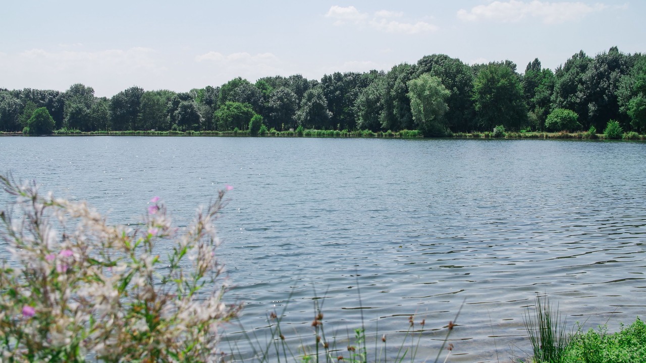 Photo of Outdoor in Arnage